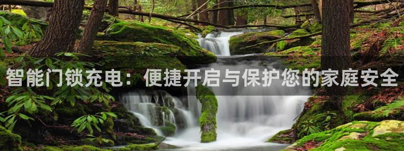 金年会金字招牌信誉：智能门锁充电：便捷开启与保护您的家庭安全