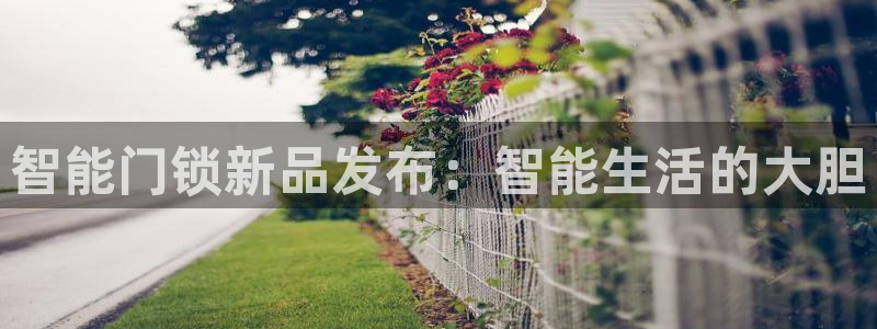 澳门与金年会的关系：智能门锁新品发布：智能生活的大胆