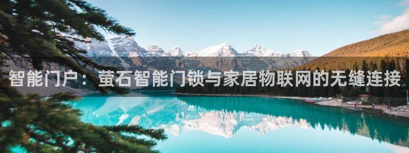 年会金：智能门户：萤石智能门锁与家居物联网的无缝连接