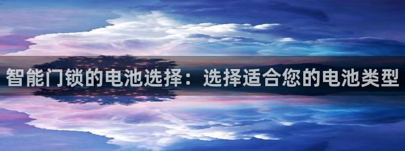 金年会是正规的吗：智能门锁的电池选择：选择适合您的电池类型