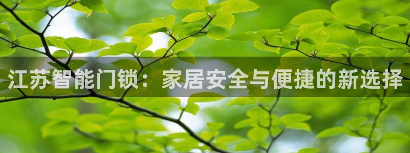 金年会游戏：江苏智能门锁：家居安全与便捷的新选择
