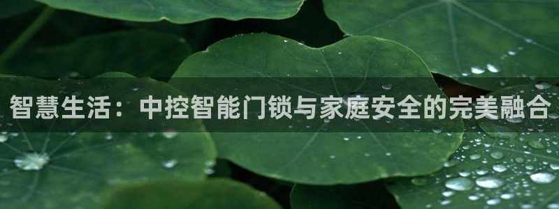 金年会嗨聊app下载：智慧生活：中控智能门锁与家庭安全的完美