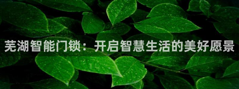 金年会app下载官网：芜湖智能门锁：开启智慧生活的美好愿景