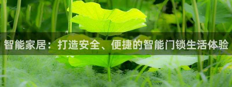 金年会6766澳门联合：智能家居：打造安全、便捷的智能门锁生