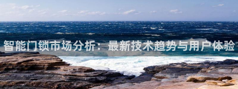 金年会最新下载：智能门锁市场分析：最新技术趋势与用户体验