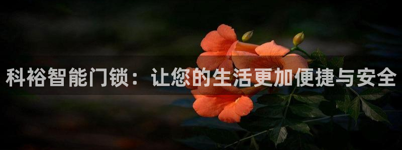 金年会棋牌：科裕智能门锁：让您的生活更加便捷与安全
