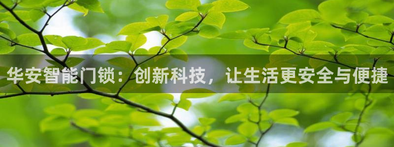 金年会体育：华安智能门锁：创新科技，让生活更安全与便捷