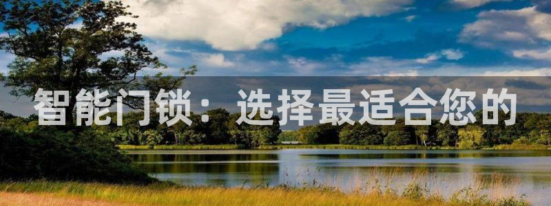 金年会官方在线登录：智能门锁：选择最适合您的