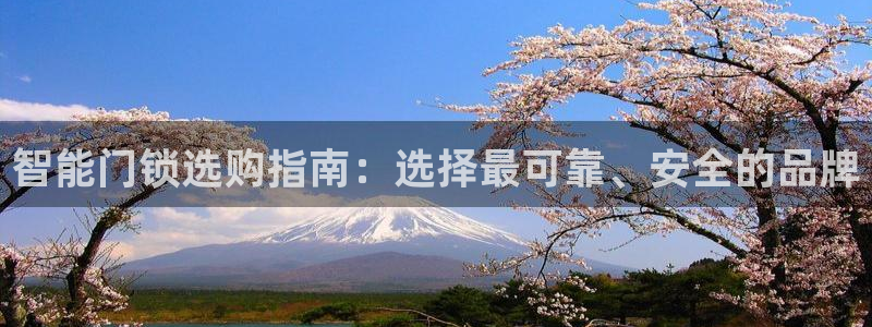 金年会平台是真的吗：智能门锁选购指南：选择最可靠、安全的品牌