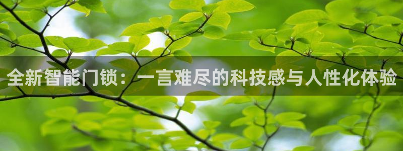 金年会登录：全新智能门锁：一言难尽的科技感与人性化体验