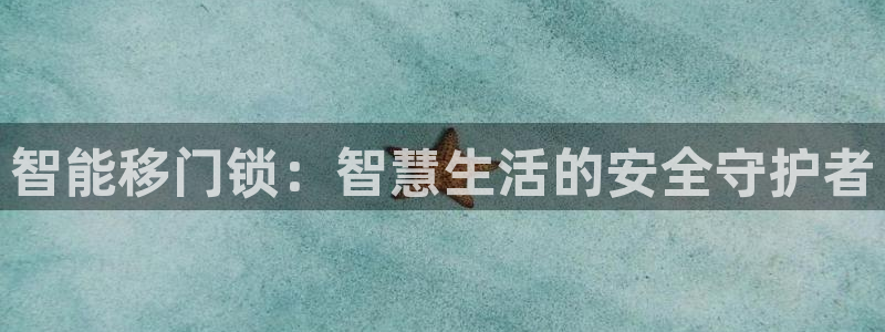 金年会会：智能移门锁：智慧生活的安全守护者
