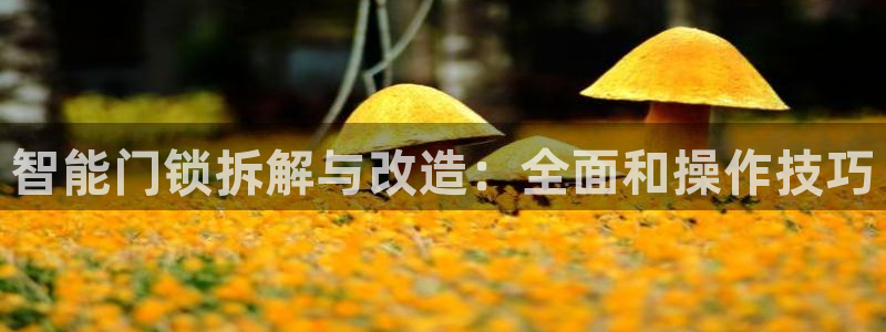 金联金年会：智能门锁拆解与改造：全面和操作技巧