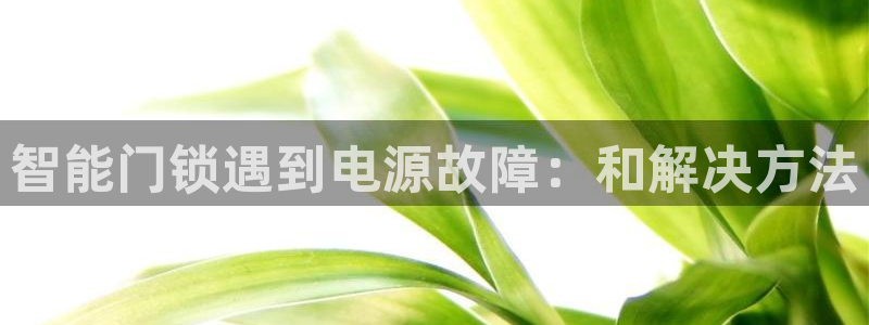 金年会金年华：智能门锁遇到电源故障：和解决方法