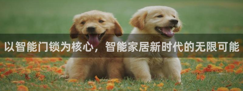 金年会彩票网址下载：以智能门锁为核心，智能家居新时代的无限可