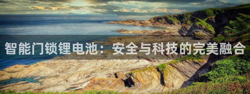 金年会娱乐app：智能门锁锂电池：安全与科技的完美融合
