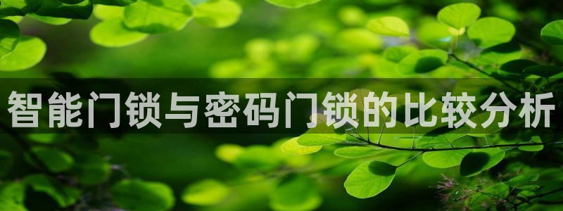金年会官方入口：智能门锁与密码门锁的比较分析