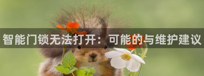 金年会赞助商：智能门锁无法打开：可能的与维护建议