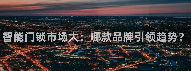 金年会软件在线下载：智能门锁市场大：哪款品牌引领趋势？