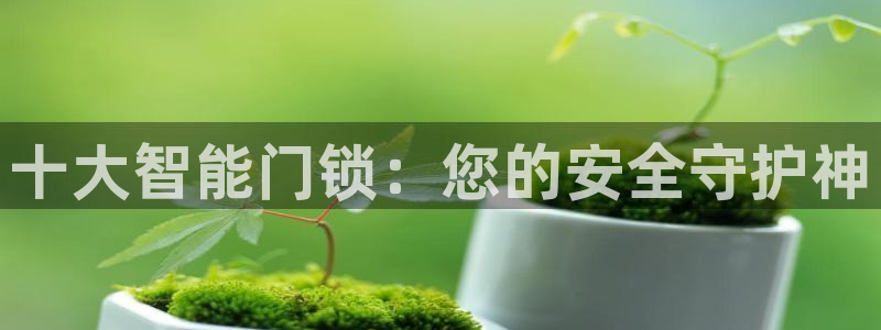 金年会6766：十大智能门锁：您的安全守护神