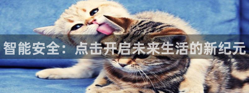 金年会 中国 金年会：智能安全：点击开启未来生活的新纪元