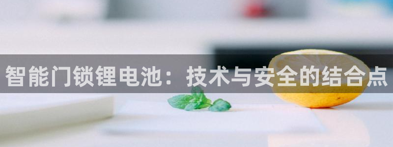 金年会体育娱乐：智能门锁锂电池：技术与安全的结合点