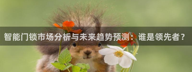 金年会下载：智能门锁市场分析与未来趋势预测：谁是领先者？