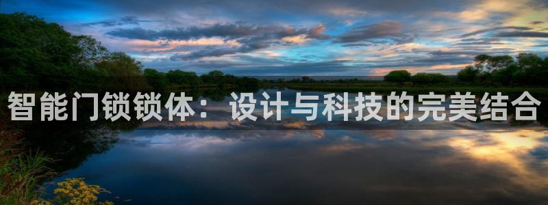 jinnianhui 金年会：智能门锁锁体：设计与科技的完美