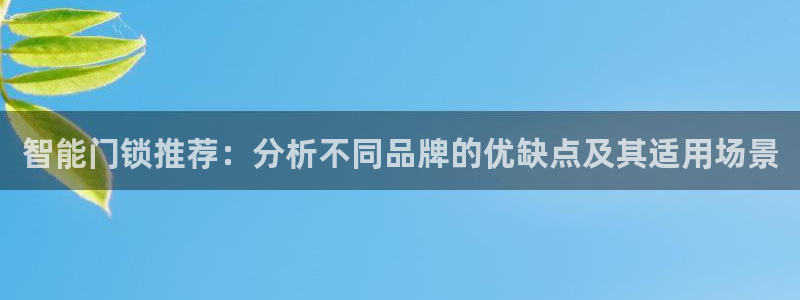 金年会官方体育登录入口：智能门锁推荐：分析不同品牌的优缺点及