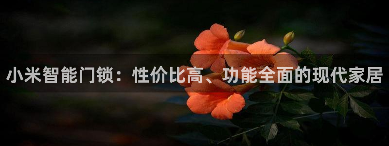 金年会网页：小米智能门锁：性价比高、功能全面的现代家居