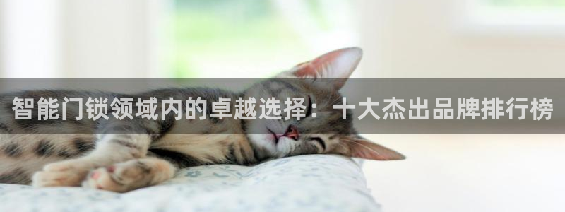金年会现金网：智能门锁领域内的卓越选择：十大杰出品牌排行榜