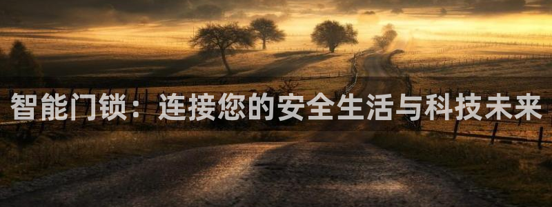 金年会app桌面：智能门锁：连接您的安全生活与科技未来