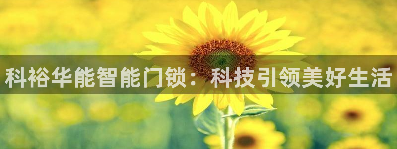金年会APP下载：科裕华能智能门锁：科技引领美好生活