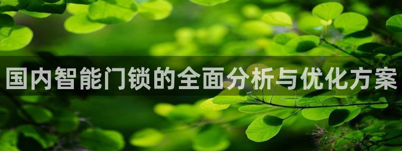 金年会体育在线入口：国内智能门锁的全面分析与优化方案