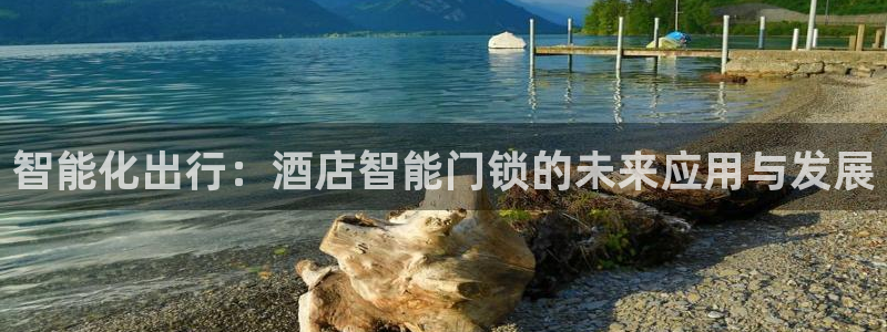 金年会官方网站下载：智能化出行：酒店智能门锁的未来应用与发展