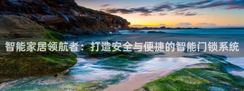 金年会菲律宾：智能家居领航者：打造安全与便捷的智能门锁系统