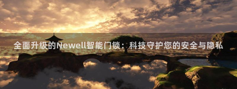 金年会官方入口：全面升级的Newell智能门锁：科技守护您的