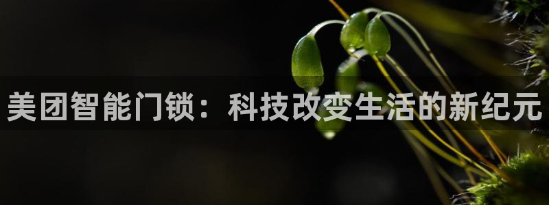 金年会com：美团智能门锁：科技改变生活的新纪元