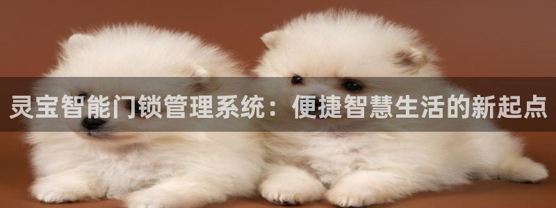 金年会体育在线入口：灵宝智能门锁管理系统：便捷智慧生活的新起