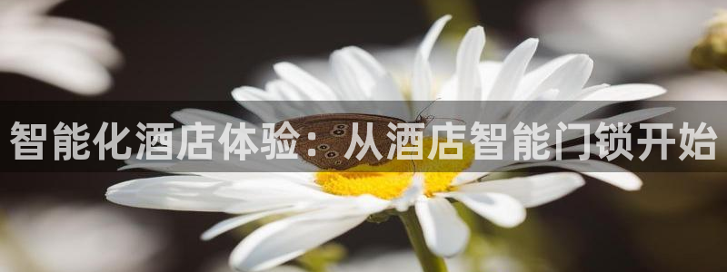 金年会是正规的吗：智能化酒店体验：从酒店智能门锁开始