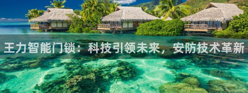 金年会ios下载：王力智能门锁：科技引领未来，安防技术革新