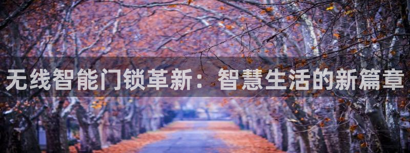 金年会 中国 金年会：无线智能门锁革新：智慧生活的新篇章