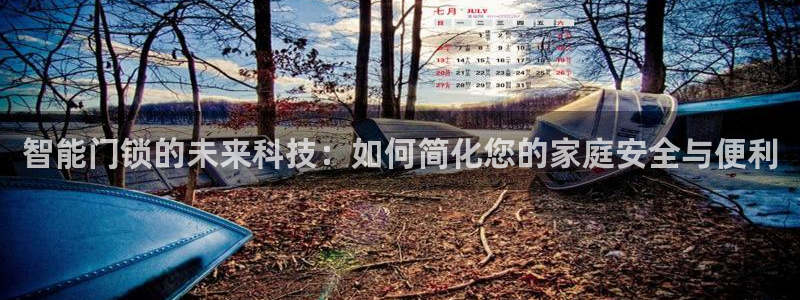 金 金年会：智能门锁的未来科技：如何简化您的家庭安全与便利
