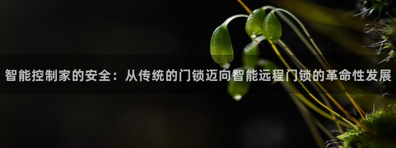 金雅陶瓷年会现场：智能控制家的安全：从传统的门锁迈向智能远程
