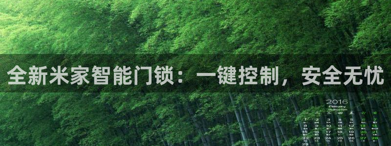 今金年会：全新米家智能门锁：一键控制，安全无忧