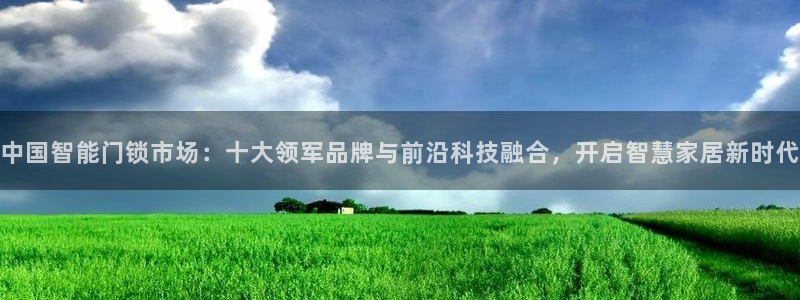 金年会体育和金年会：中国智能门锁市场：十大领军品牌与前沿科技