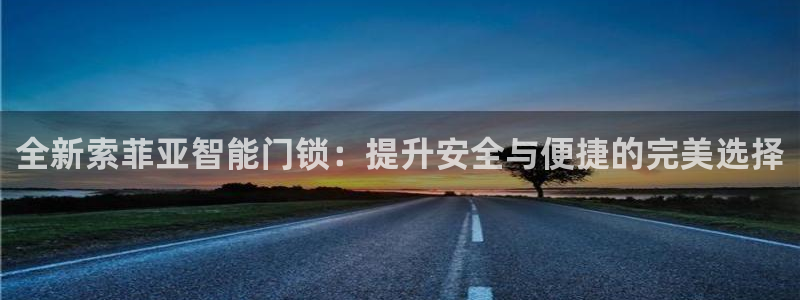 金年会入口：全新索菲亚智能门锁：提升安全与便捷的完美选择