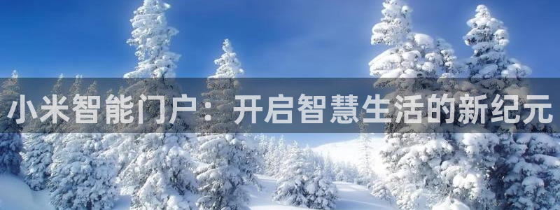 年会金句心得：小米智能门户：开启智慧生活的新纪元