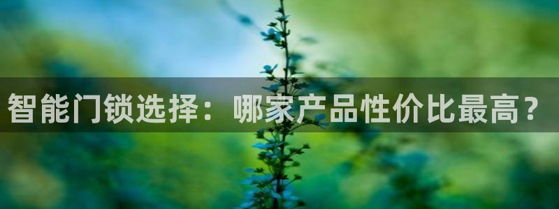 金年会最新下载：智能门锁选择：哪家产品性价比最高？