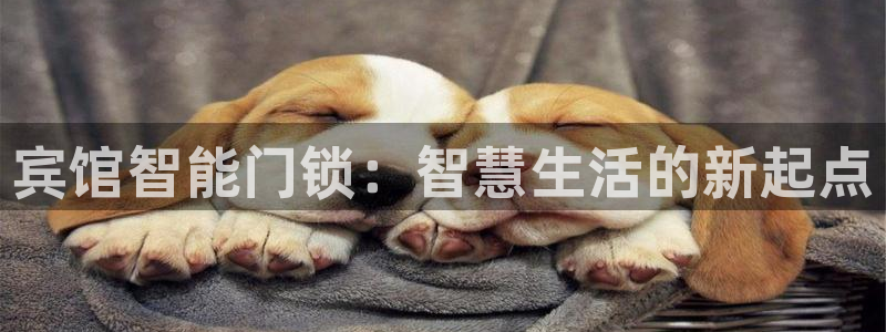 金年会体育下载：宾馆智能门锁：智慧生活的新起点