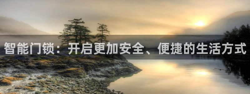 金立年会